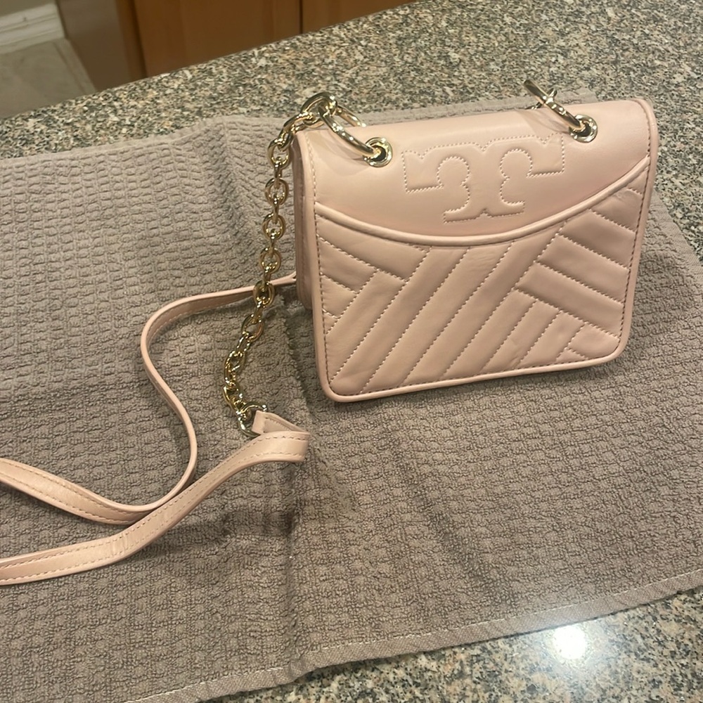 Tory Burch purse